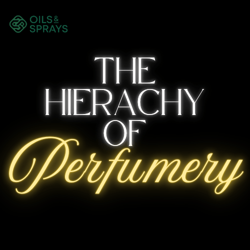 The Hierachy Of Perfumery - By OILSANDSPRAYS